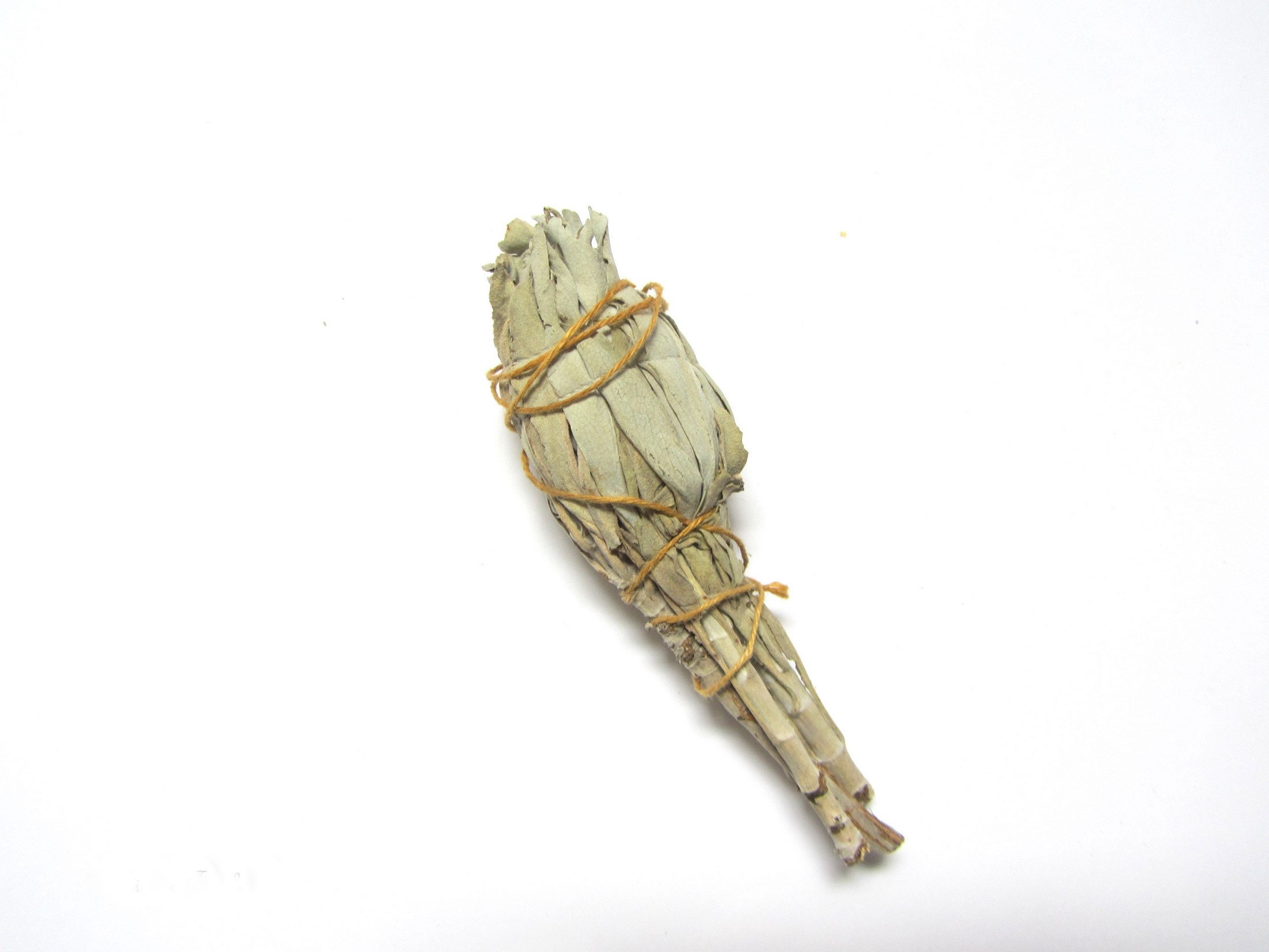 Sauge Blanche, Bâton de Fumigation, Purification Des Lieux