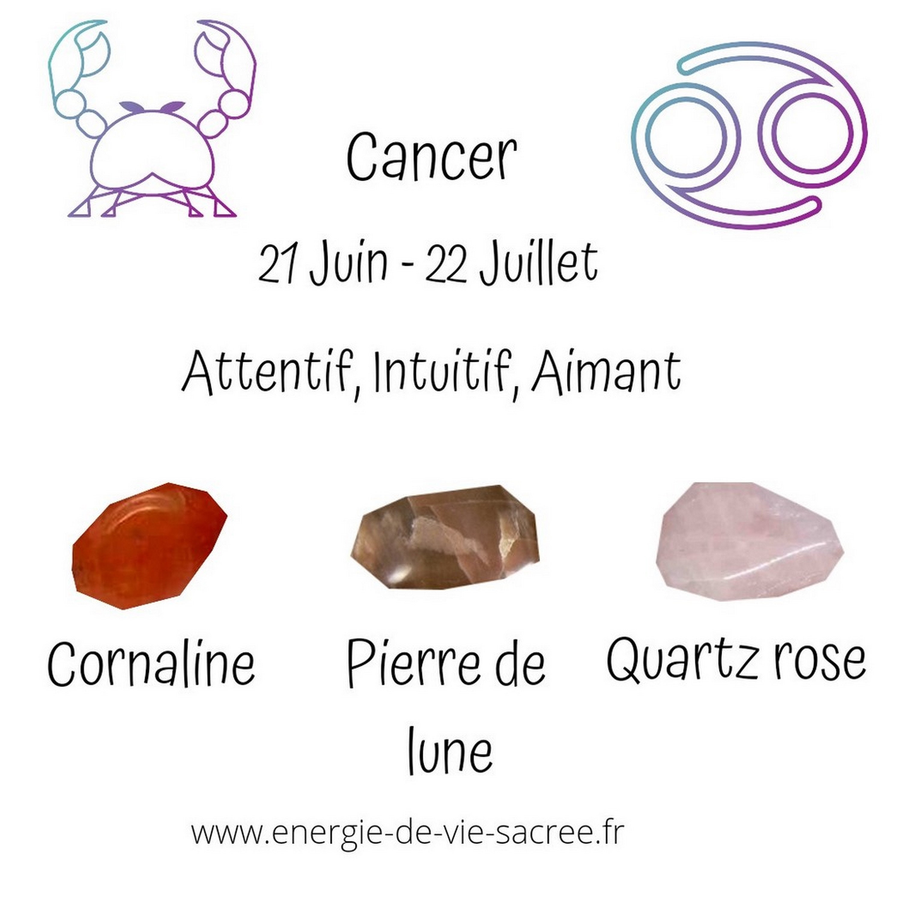 Pierres Pour Les Cancers, Ensemble de Pierre, Cornaline, Pierre Lune, Quartz Rose, Pierres Roulées