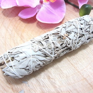 White sage fumigating stick