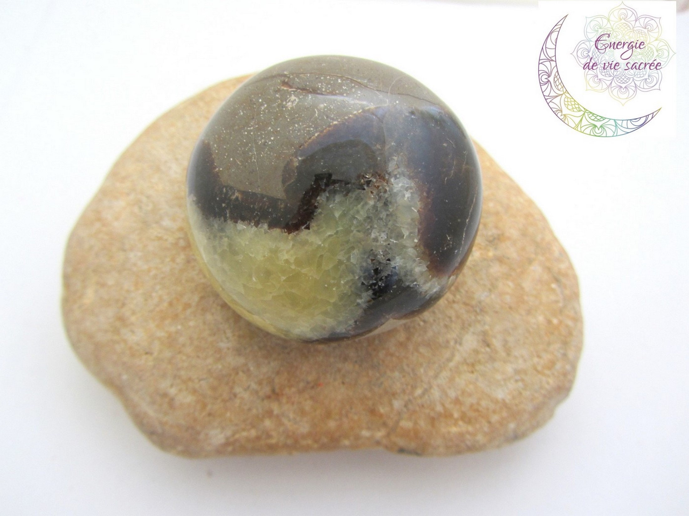 Galet Septaria, Pierre Naturelle, Qualité A, Protection et Ancrage.