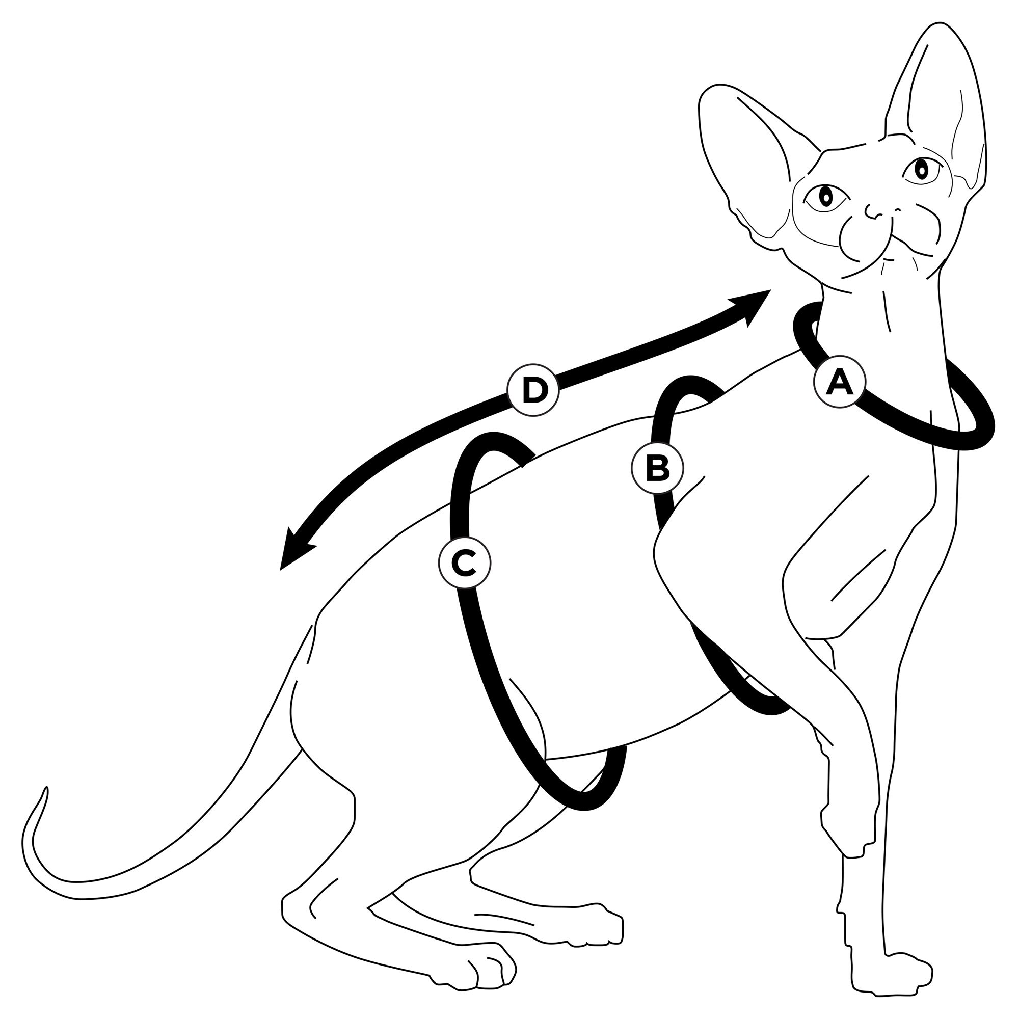 Warm Fleece Sphynx Cat Coat Solid Black Beginner Sphynx Etsy