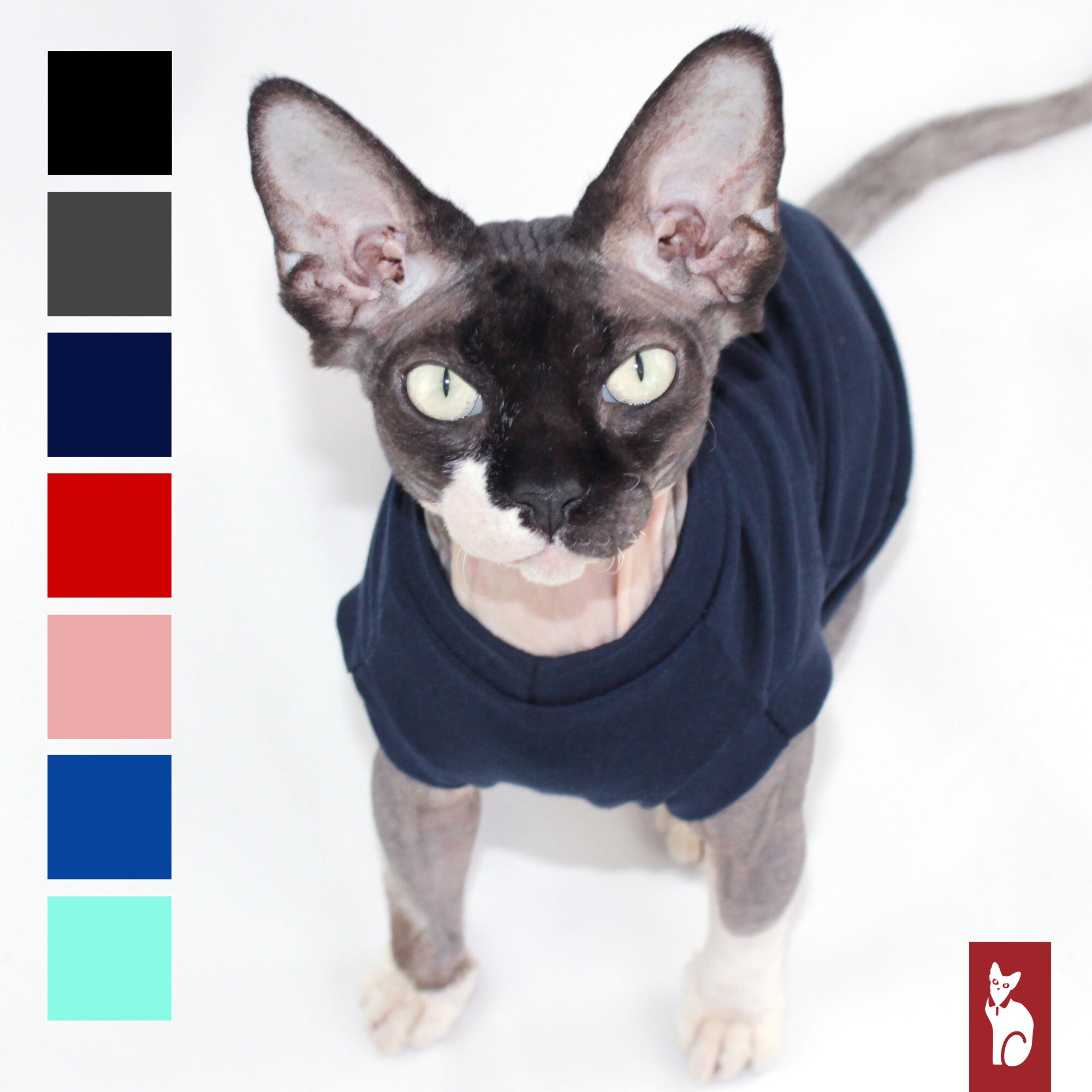 sphynx cat outfits