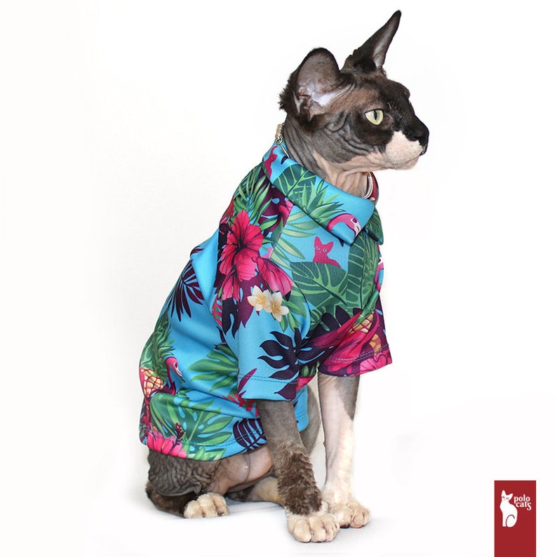 Gatto Sphynx Cat Abbigliamento Camicia Per Gatto Camicia Etsy