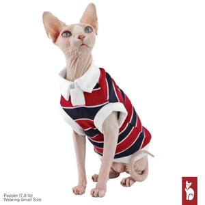 Polo for cats, red and blue stripes, white collar | Polocats