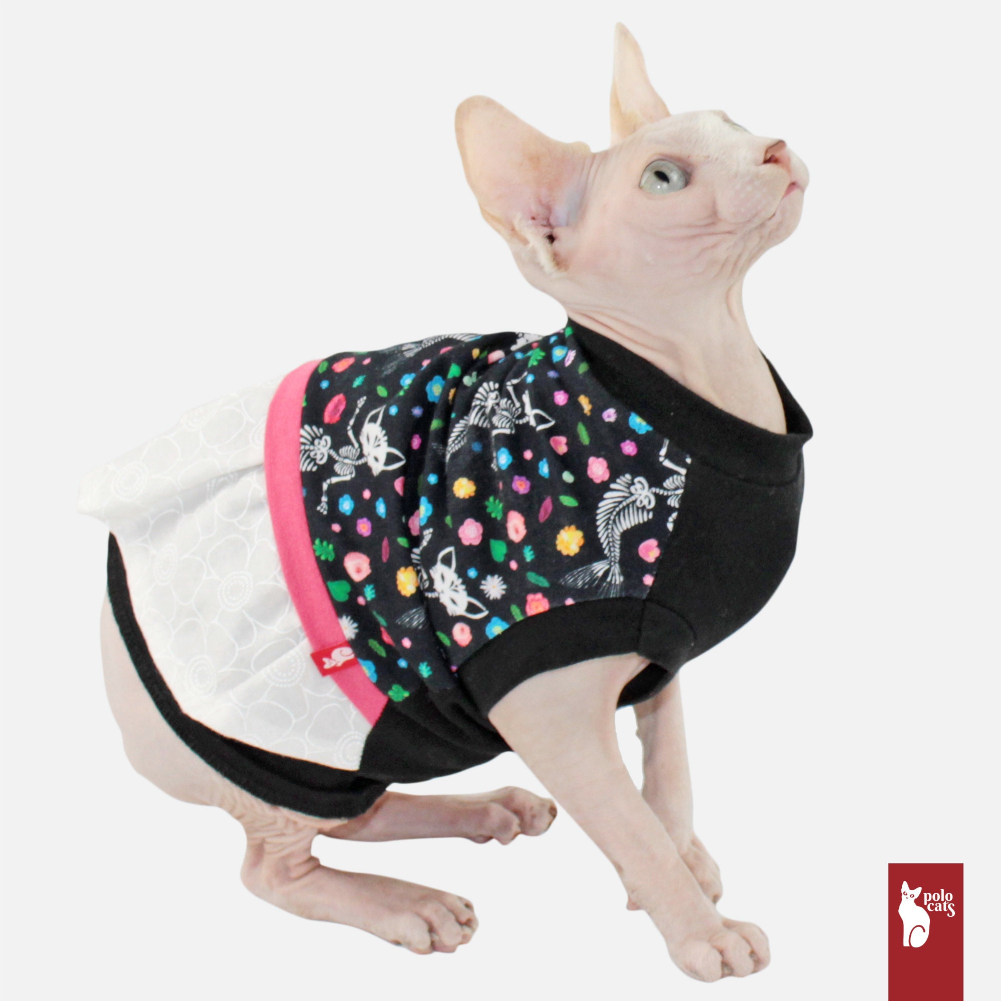 sphynx dress