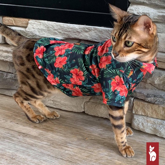 suficiente montar Cuna Ropa de gato Sphynx Ropa de gato Camisa para gato Hawaian - Etsy España