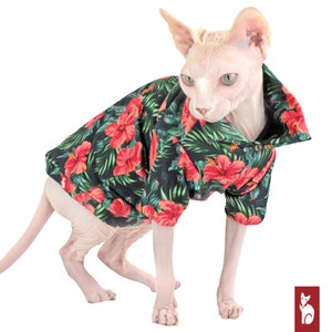 Hawaiien Shirt for Cat Sphynx | Cat clothes, Sphynx Cat clothing | Hibiscus and Green Color | Polocats