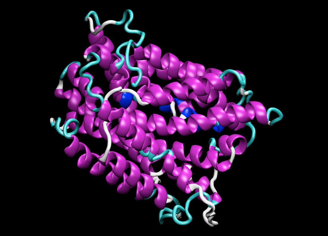 Custom 3D Printed Protein Molecule PDB 3A60 Crystal Etsy