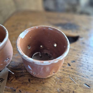 May include: Two terracotta pots with drainage holes. The pots are unglazed and have a rustic appearance.