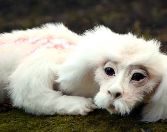 falkor stuffed toy