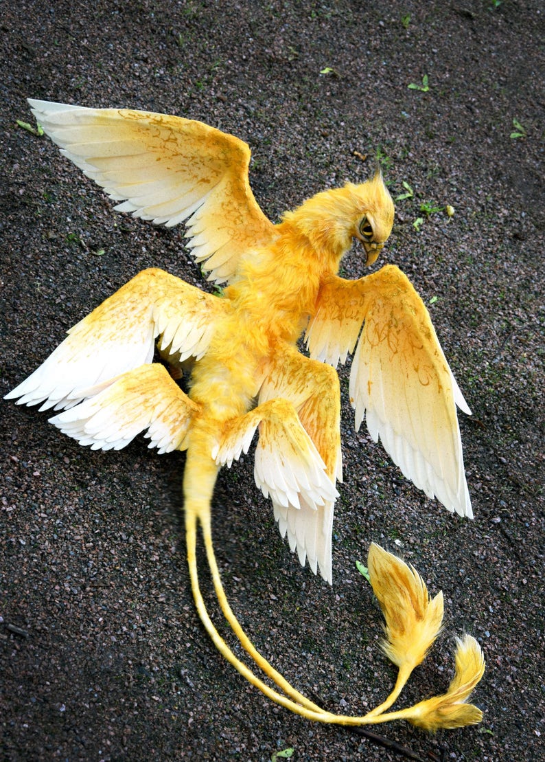thunderbird real bird thunderbird real bird