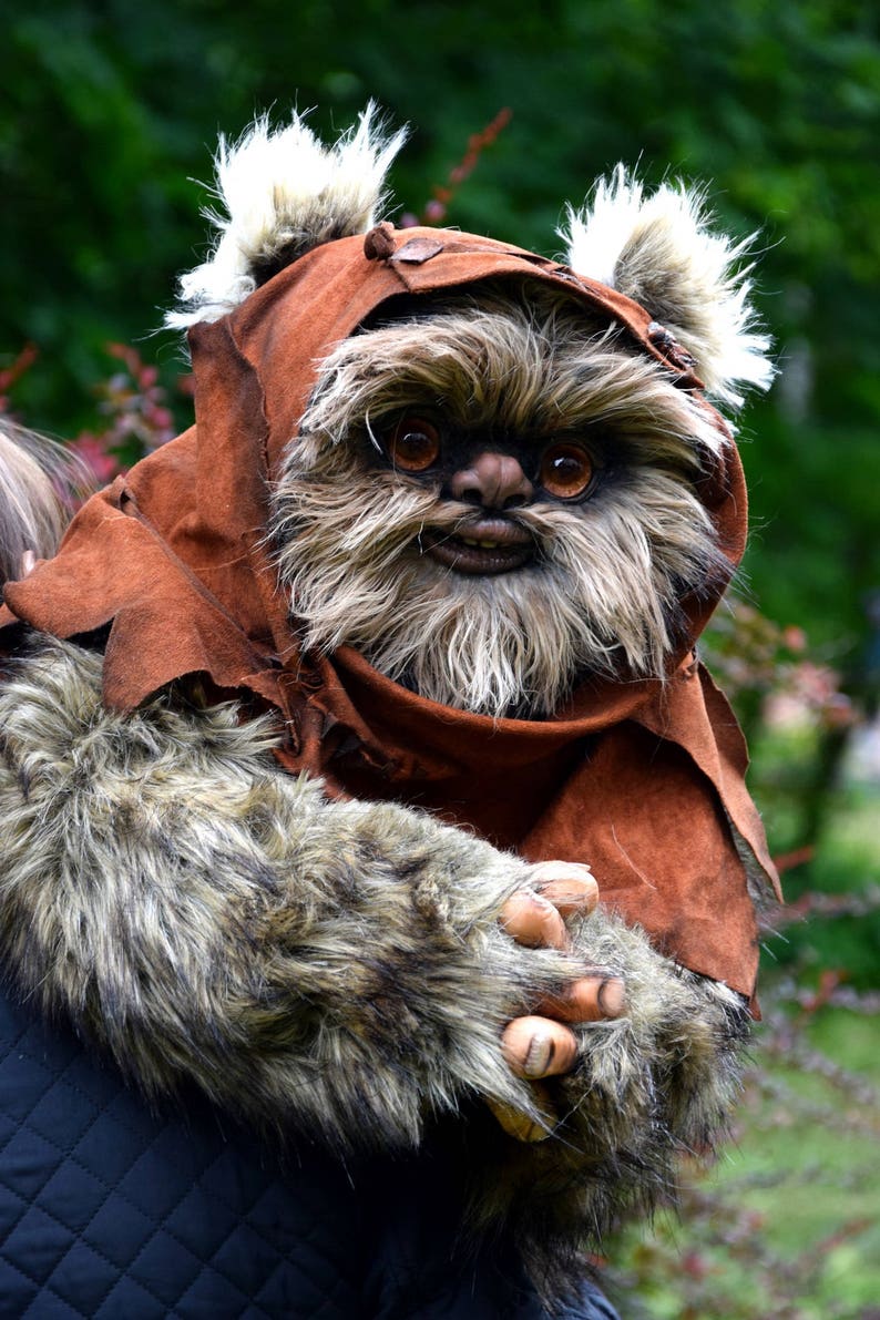 Ewok | Etsy