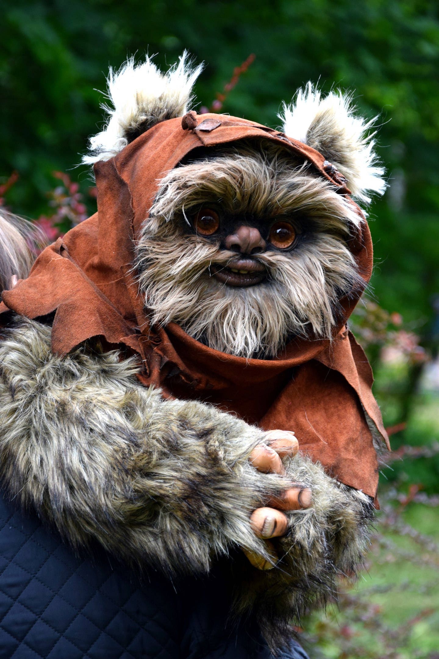 Ewok | Etsy