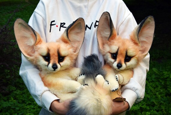Fennec Fox Etsy Fennec Fox Etsy
