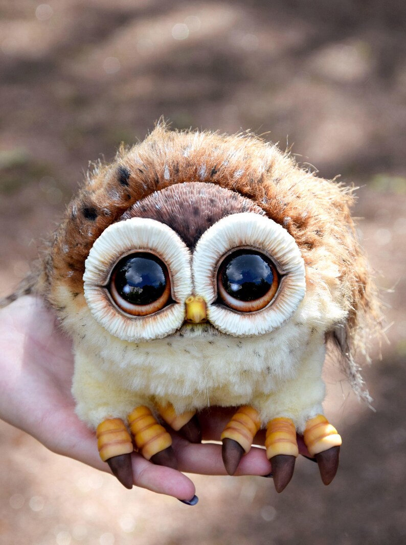 owly 1 the way home owly 1 the way home