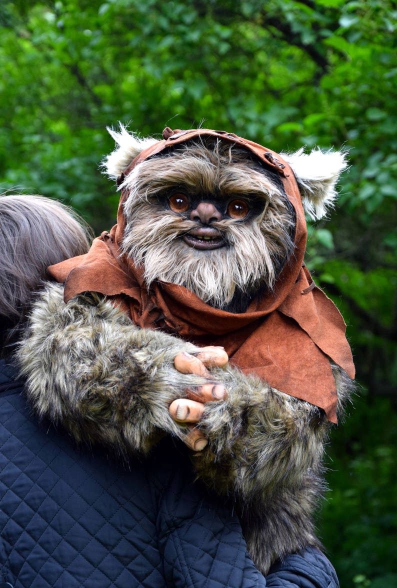 Ewok image 1.