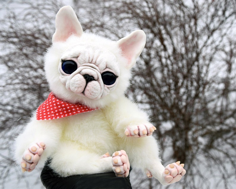 French Bulldog