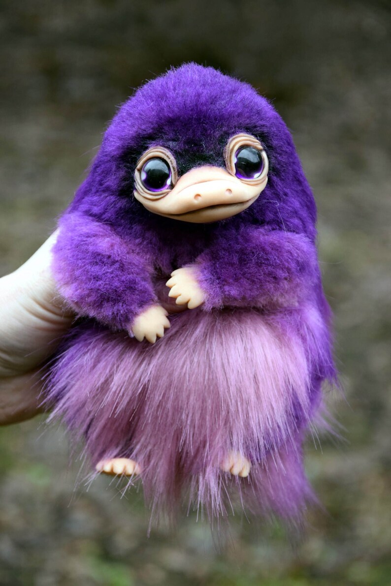 baby platypus baby platypus