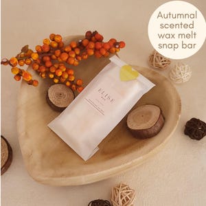 Candy Casket scented wax melt snap bars Strong scented autumn gifts for the home lover Fragrant fall wax melts Luxury wax melts Cosy scents