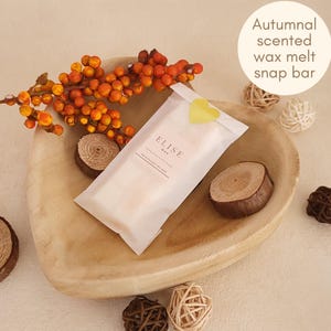 Pomegranate and Pink Pepper melt snap bars Strong scented autumn gifts for the home lover Fragrant fall wax melts Luxury cosy scented melts