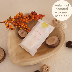 Fantastic Fall wax melt snap bars Strong scented autumn gifts for the home lover Fragrant fall wax melts Luxury wax melts Cosy scented melts