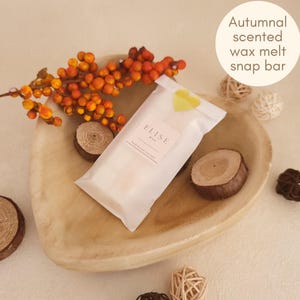 Thanksgiving Wishes wax melt snap bars Strong scented autumn gifts for the home lover Fragrant fall wax melts Luxury cosy scemted wax melts