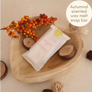 Maple and Elm wax melt snap bars Milder scented autumn gifts for the home lover Fragrant fall wax melts Luxury wax melts Cosy scented melts