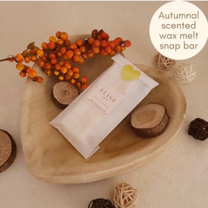 Smoked Fruits & Rhubarb Wax Melt Snap Bar: Autumn Home Fragrance