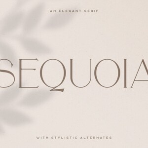 Peut inclure: Une police de caractères serif nommée "Sequoia" avec des variantes stylistiques. La police est affichée en brun clair sur un fond blanc.