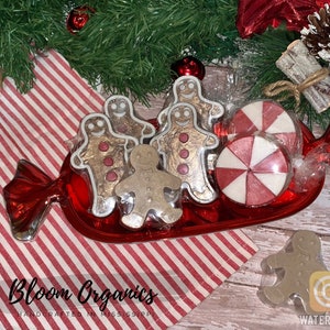 Holiday Single Bar Soap