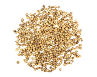 CORIANDER Seed, WHOLE, USDA Certified Organic, Certified Kosher, food grade. 1 ounce. Final Sale!