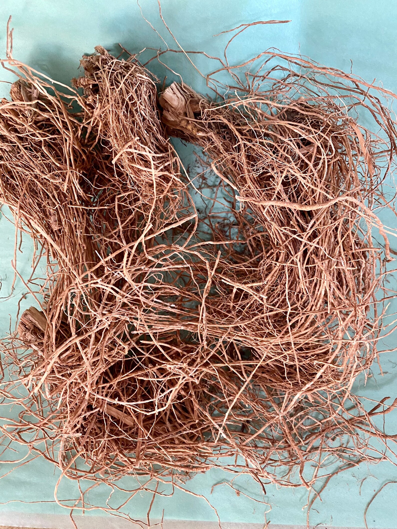 Whole VETIVER Roots and Root Pieces. Dried Vetiver Root Etsy