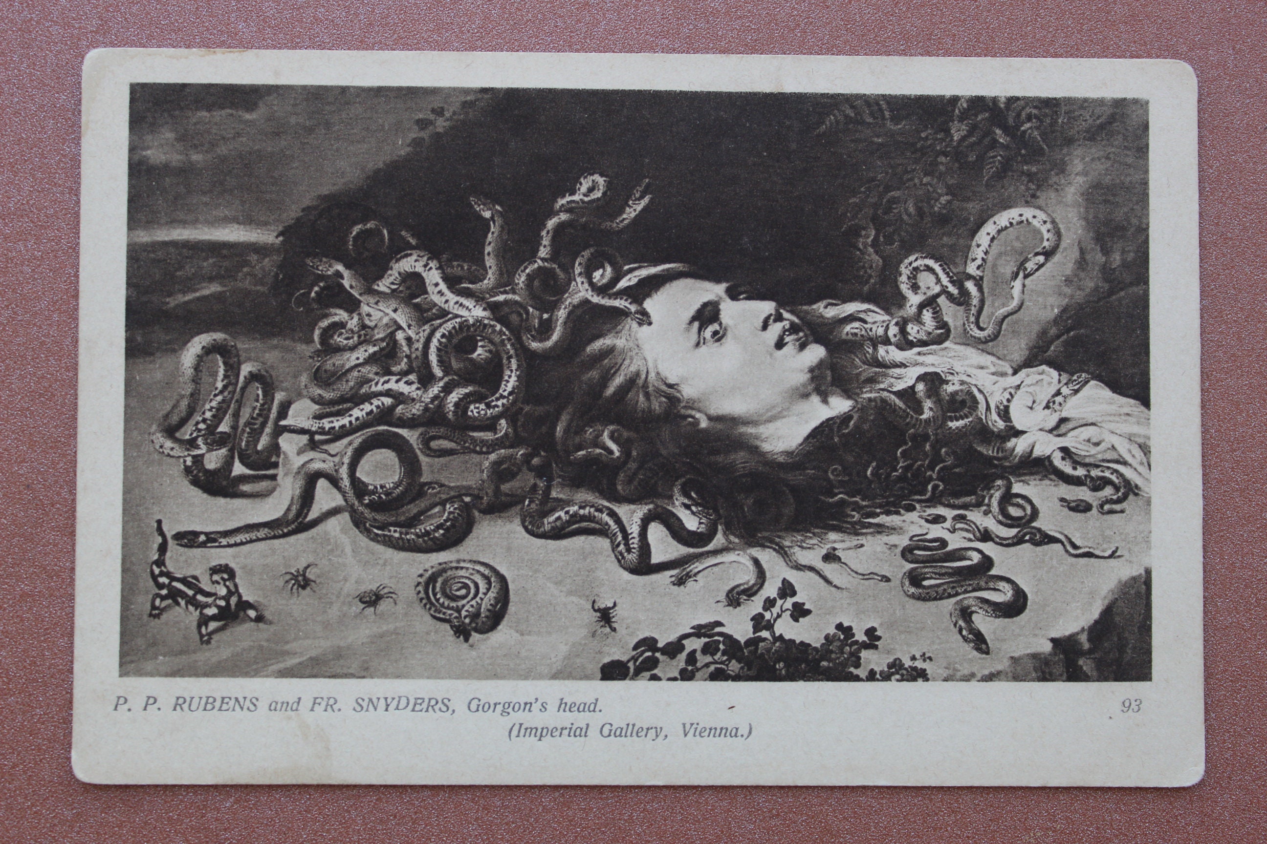 Pelo DE WITCH SNAKE. Hermosa y terrible Medusa Gorgon. Postal | Etsy