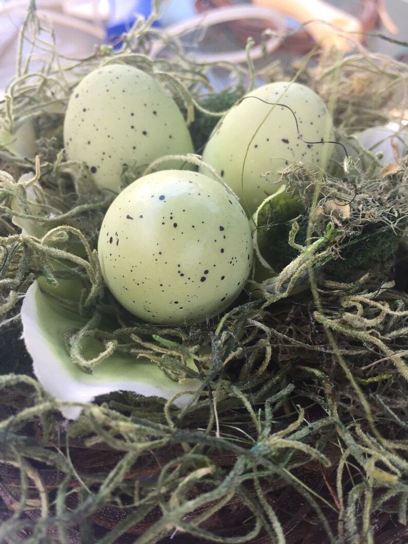 Decorative Birds Nest Etsy