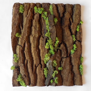 Schorsschildering, schorsframe, schorsframe, schorsframe, plantenframe, organisch kunstwerk, plantontwerp, groen
