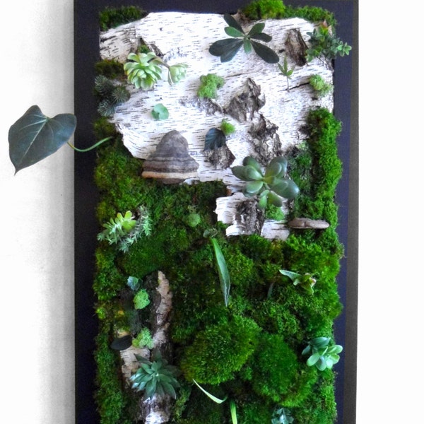 Tableau végétal,  mur végétal, cadre végétal, green wall, lichen frame,  bark framework, organic artwork, design vegetal, green