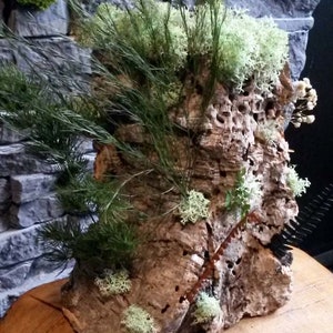 totem, cork oak, wooden support, plants, ferns