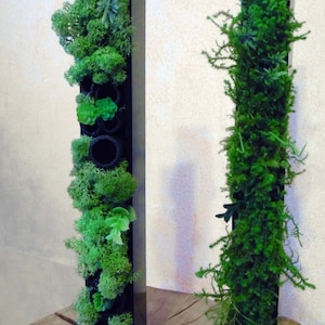 Peut inclure: Deux jardinières verticales rectangulaires remplies de plantes vertes. L'une comporte plusieurs ouvertures circulaires, tandis que l'autre est une colonne de verdure pleine. Les deux sont posées sur un fond neutre, mettant en valeur une esthétique naturelle et organique.