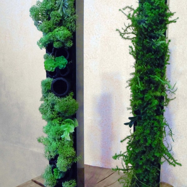 Mini mur végétal, green wall,  lichen frame, tableau végétal, cadre végétal, plant frame, organic artwork, design vegetal, green