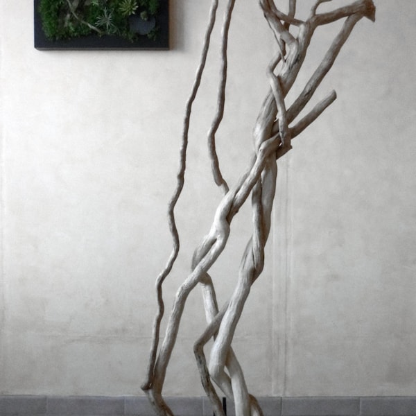 Sculpture lierre, ivy sculpture, sculpture bois, wood carving, sculpture branche , sculpture branch, design vegetal, green