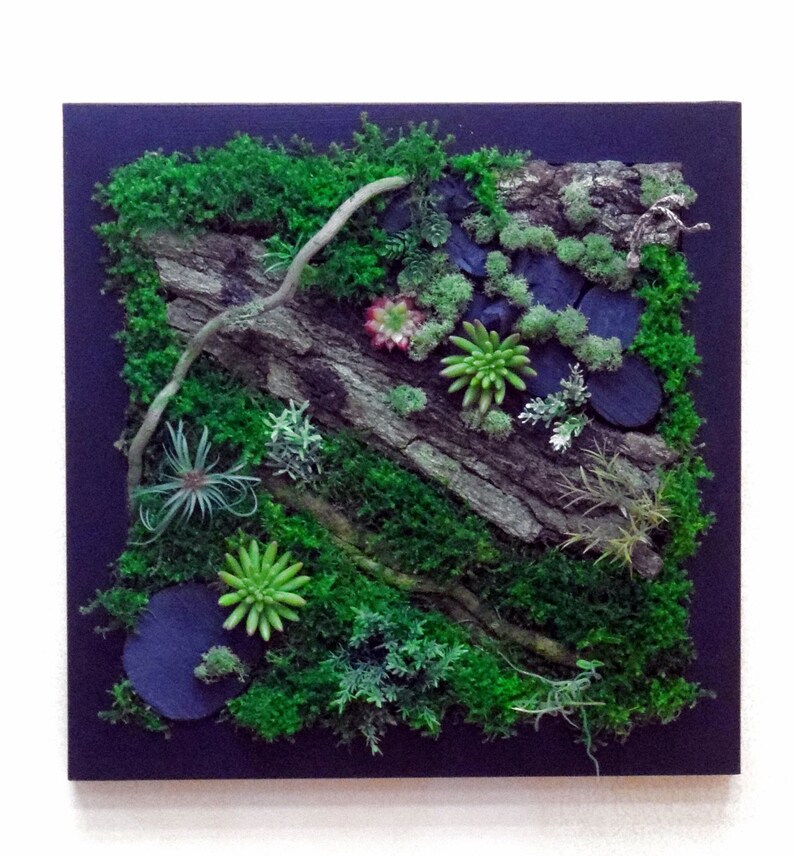 Tableau végétal mur végétal cadre végétal green wall Etsy France