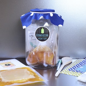 Kombucha Home-Brewing Kit – Voll beladen