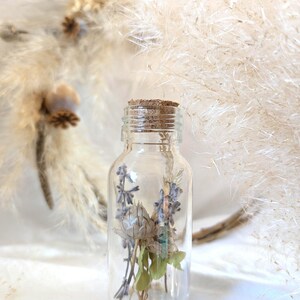 Small vial of dried flowers, forget-me-not collection.