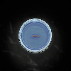 May include: A top-down view of a blue candle in a clear glass jar. The candle has a wooden wick centered in the wax. The jar is set against a dark background.