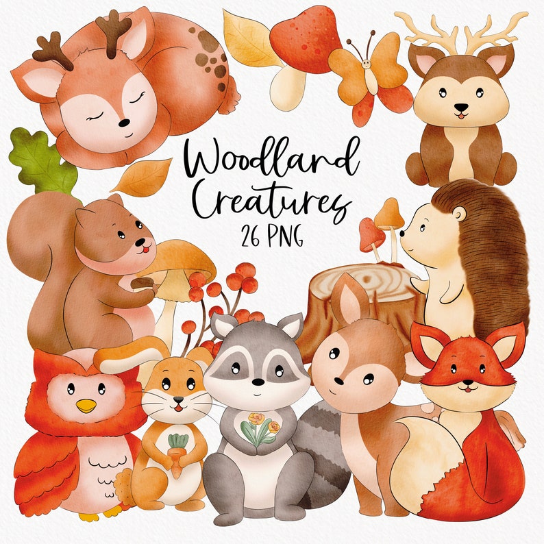 Woodland Creatures Clipart Graphics Digital Illustration | Etsy