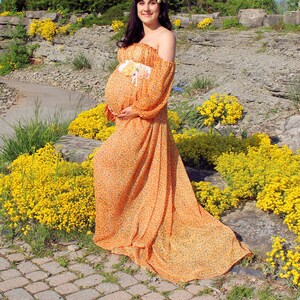 Floral Chiffon Maternity Gown: Long Sleeve Photo Prop Dress