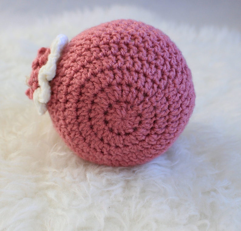 Girls Hat Beanies Dusty Rose Hat Photo Prop Baby Hat Newborn Props Spring Props Crocheted Hat Rouge Hat with Flower Skull Cap
