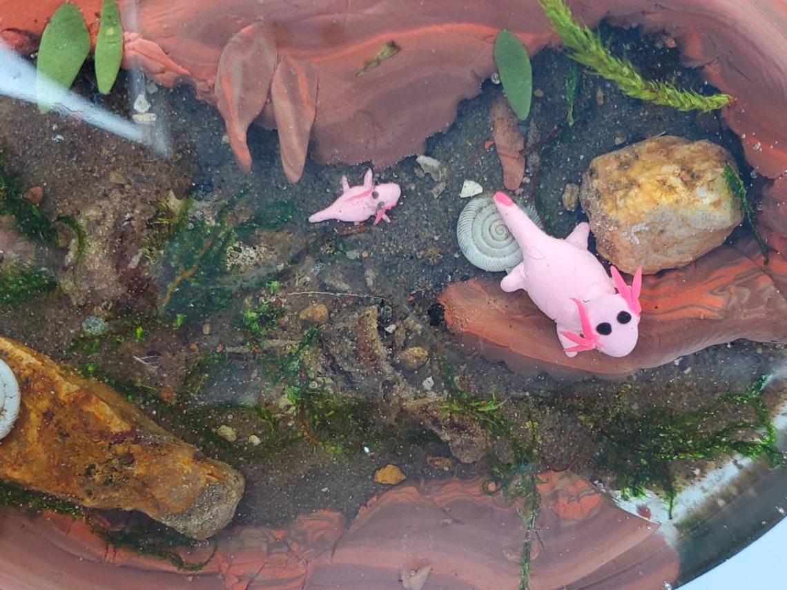 Axolotl Family Miniature Animals Terrarium Figurines Etsy