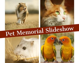 Pet Memorial Slideshow: Custom Photo & Video Montage, Keepsake, Memories