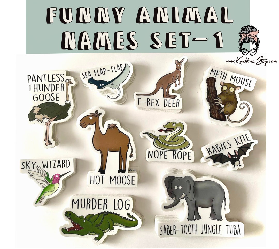 Funny Animal Names Stickers, Funny Stickers, Water Bottle Stickers